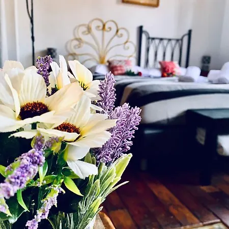 Guest house Via Faenza